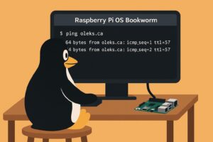 Configurer une adresse IP statique sur Raspberry Pi (nmcli) – Oleks IT Blog